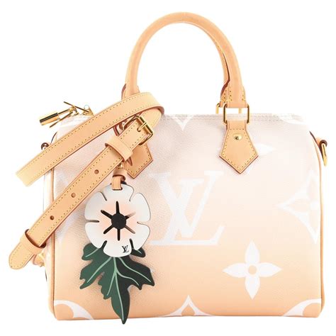 louis vuitton by the pool speedy